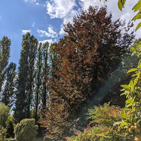 Dependance Del Brenta